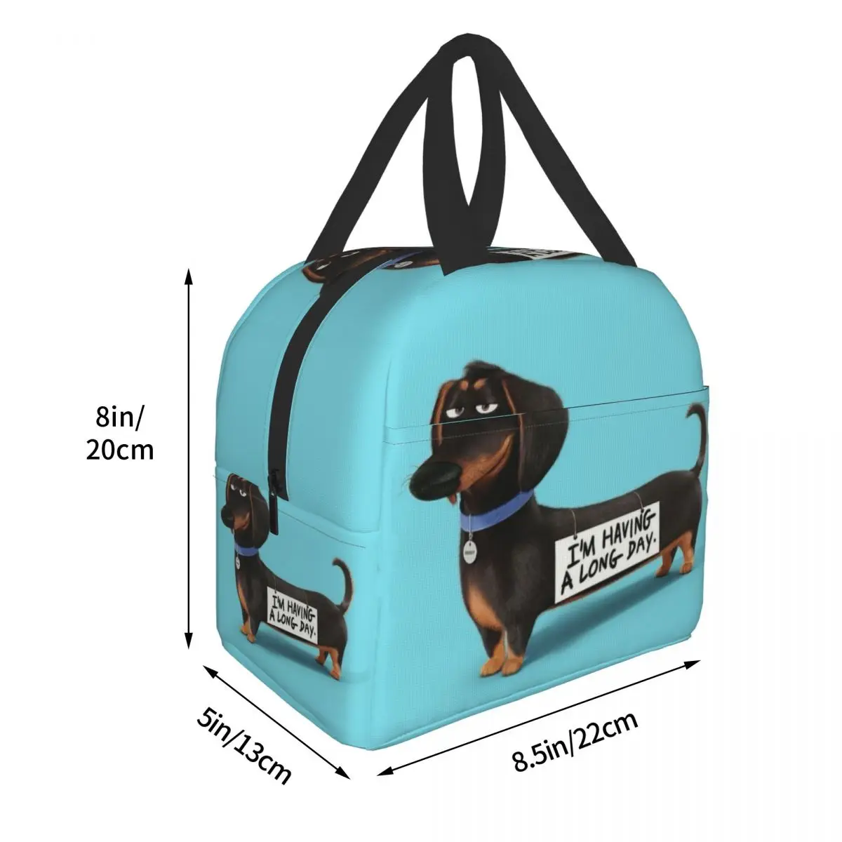 Термоизолированные ланч-пакеты Dachshund Женский веер барсук сосиска собака