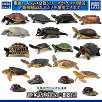 tomy original genuine kawaii figurine simulation sea turtle tortoise collection ornaments cute model action figure toys gift