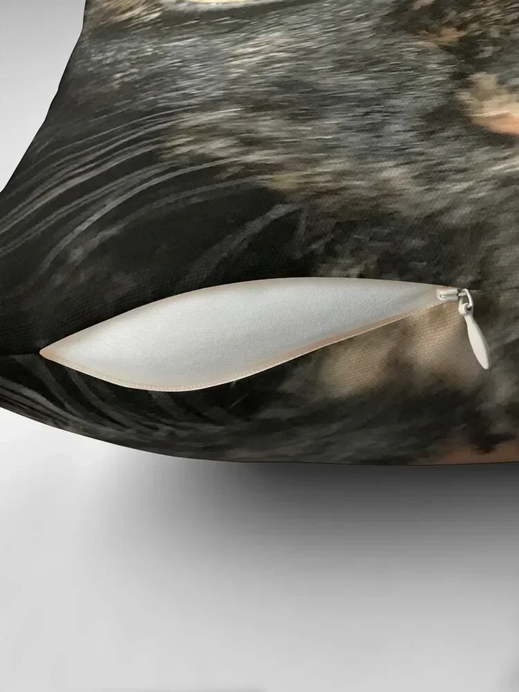 Чехол для подушки Tortie 30x30 см