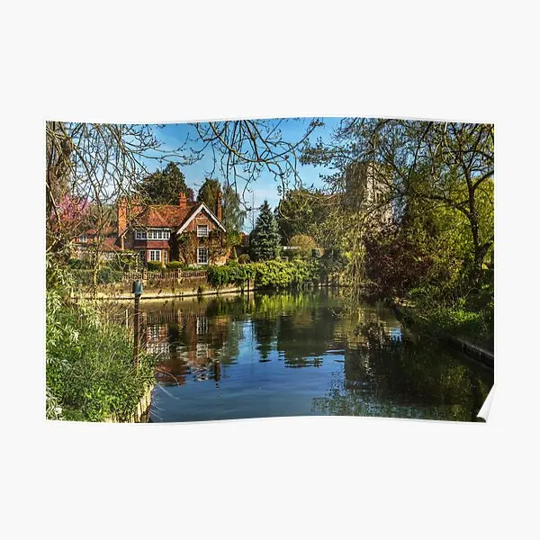 Плакат с изображением пейзажа на ТАЗе Современная комната живопись забавная