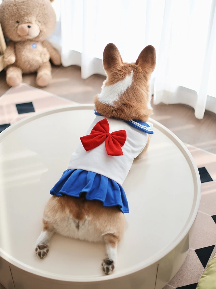 

Pet sleeveless dress fat dog clothes chun xia, thin institute wind vest skirt corgi dog medium-sized dog is a beautiful girl