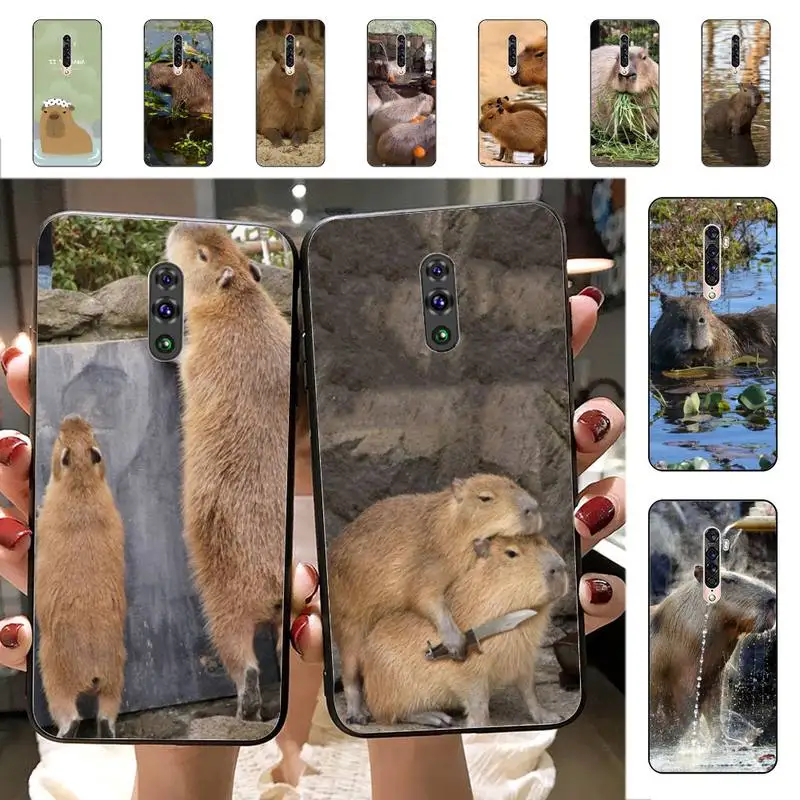 

Animal Funny Capybara Phone Case for Vivo Y91C Y11 17 19 17 67 81 Oppo A9 2020 Realme c3