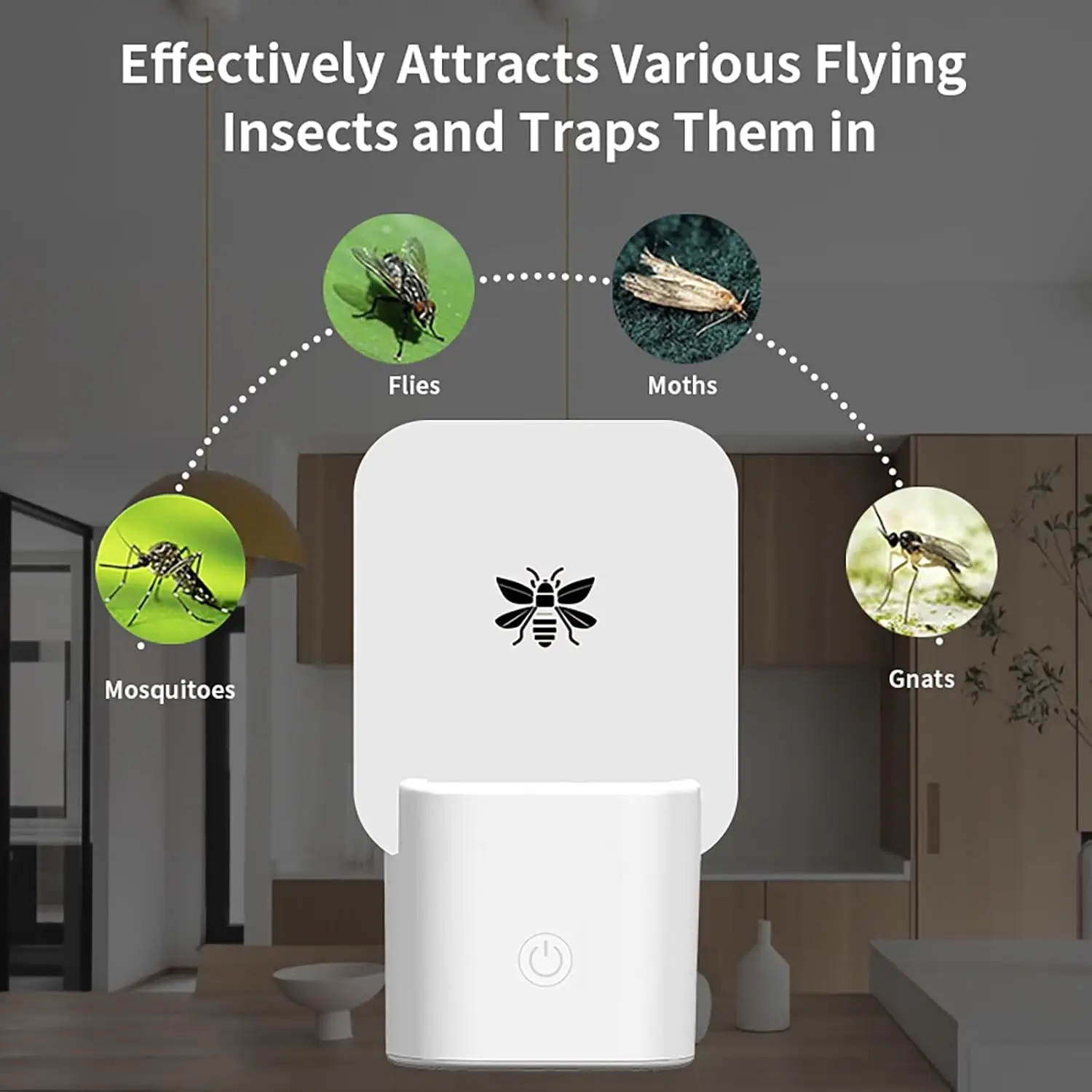 HECO Fruit Fly Trap Flies Traps Indoor for Flying Killer with Blue Night Light Gnat Moth Catcher