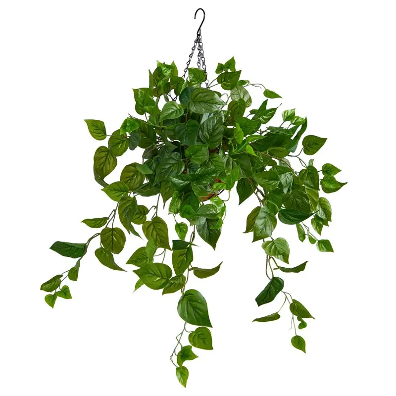 

2.5' Green Philodendron Artificial Plant in Hanging Basket