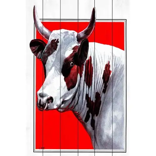 

Bull" Painting Print on White Wood