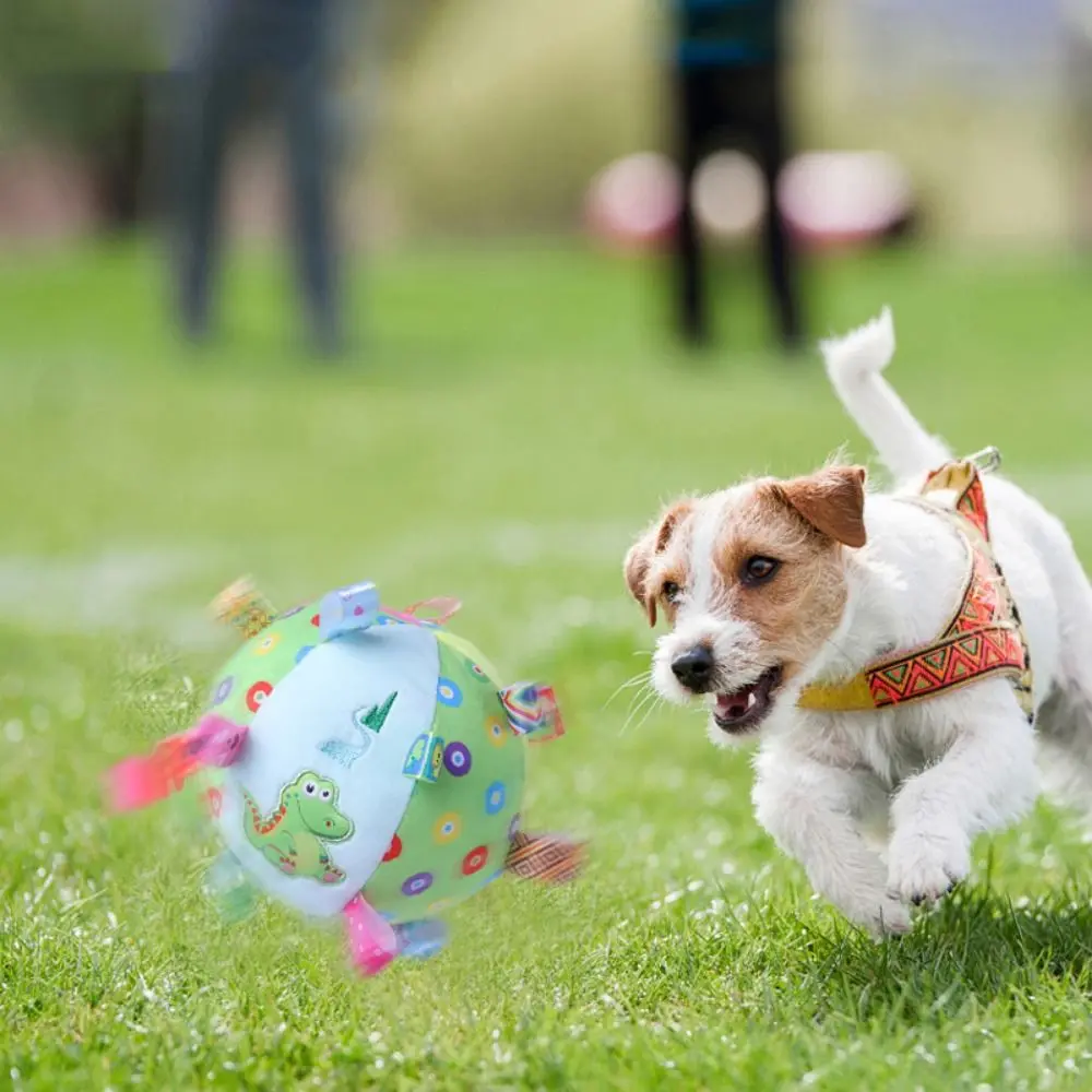z dzwoneczkami Pluszowa zabawka wokalna dla niemowląt Piłka do piłki nożnej Wizualna piłka dotykowa Zabawka miękka pluszowa żucia psa