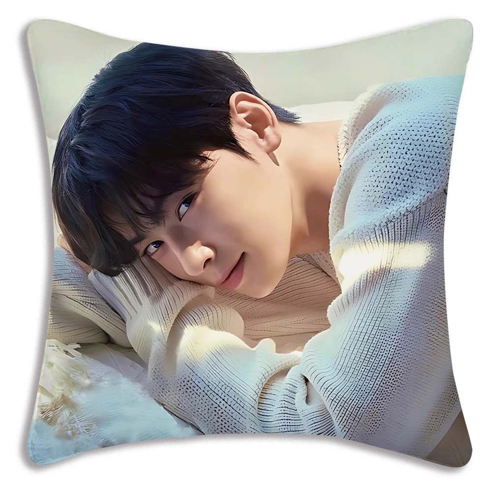 

Наволочки MINISO с Cha Eun Woo