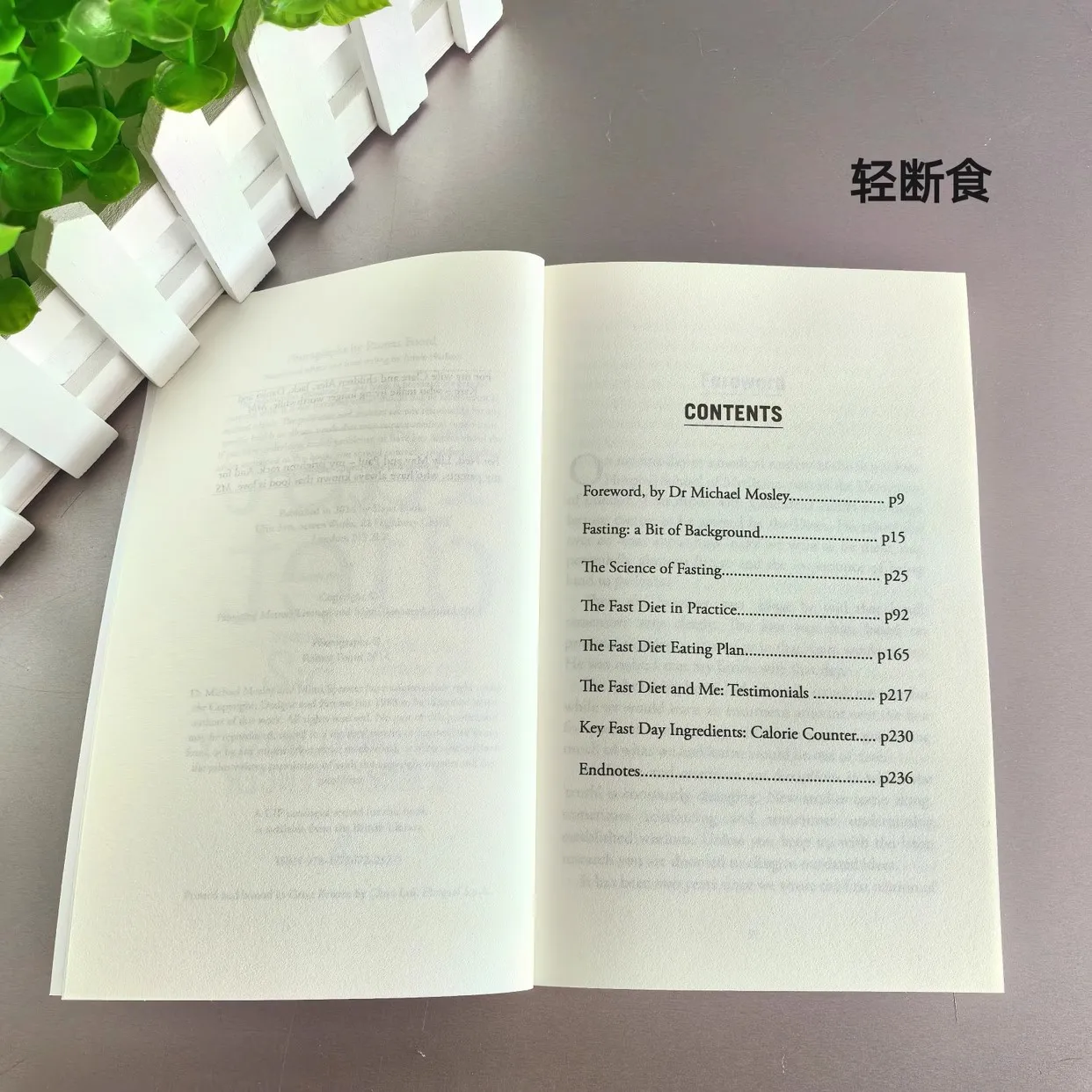 Книга на английском языке быстрая диета переработанная и обновленная самая