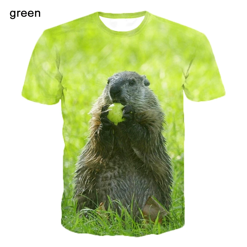 

2022 футболка с 3d принтом, футболка с изображением животного, Араша, уличная свободная индивидуальная футболка