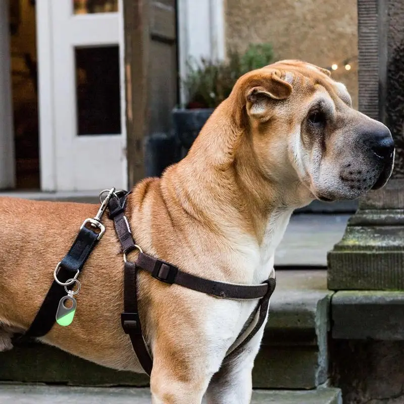 Рисунок 4 - Защитный чехол GalaxySmarttag 2