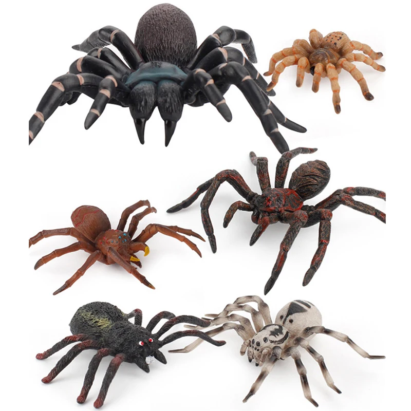 Simulation Animals Insect Solid Model Tarantula Black Spider Halloween Tricky Prank Scary Funny Action Figures Educational Toys Simulation Animals Insect Solid Model Tarantula Black Spider Halloween Tricky Prank Scary Funny Action Figures Educational Toys