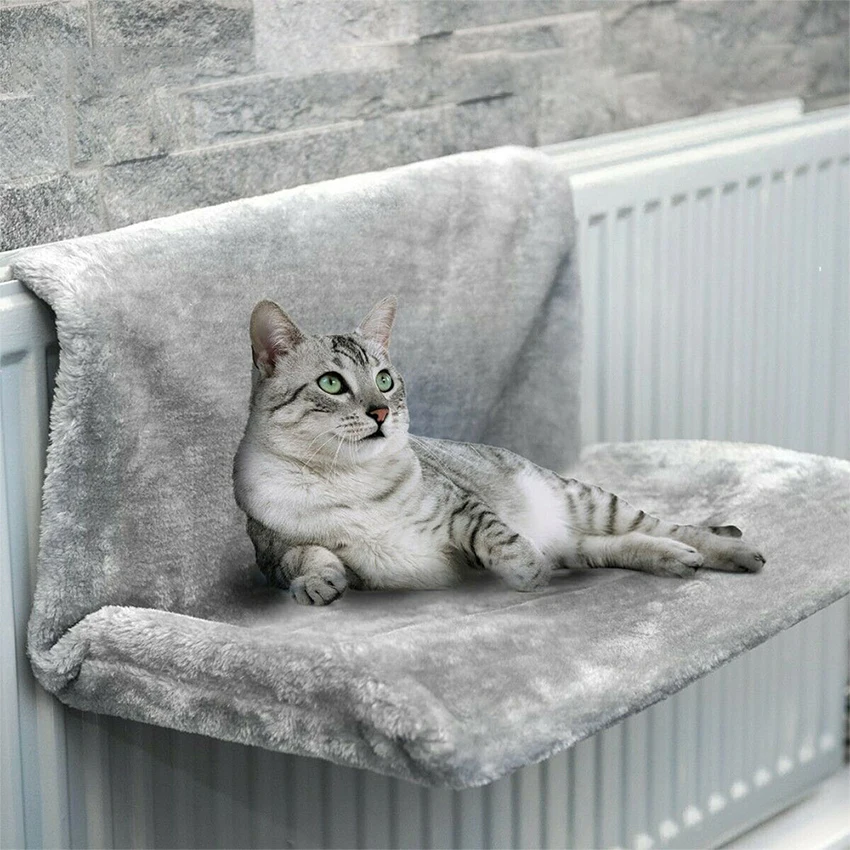 Cat Accessories