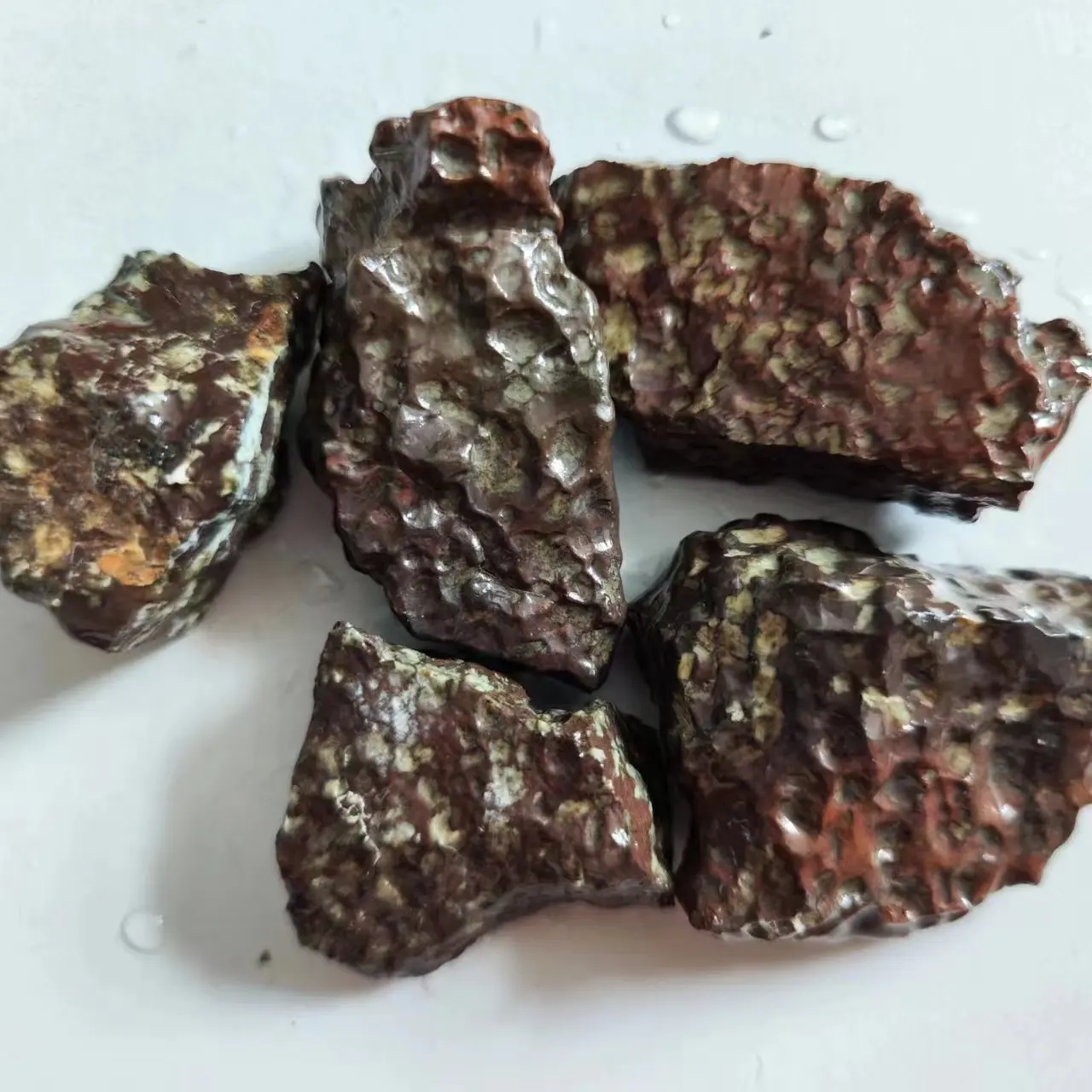 

Коллекция метеоритов Squama Breccia Gangou