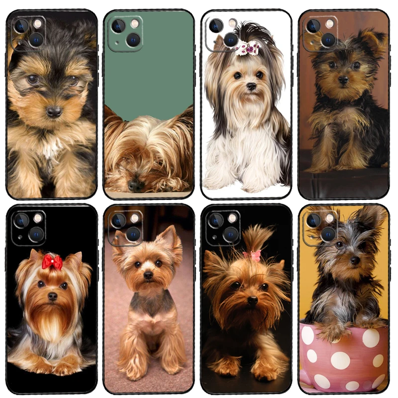 Чехол для iPhone 15 14 13 12 11 Pro Max Mini X XS XR SE 2022 2020 7 8