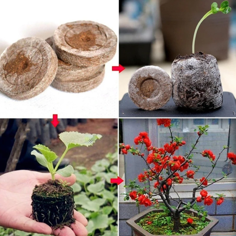 

10pcs 38mm Peat Pellets Seedling Soil Block Maker Starting Plugs Seeds Starter Professional For Garden