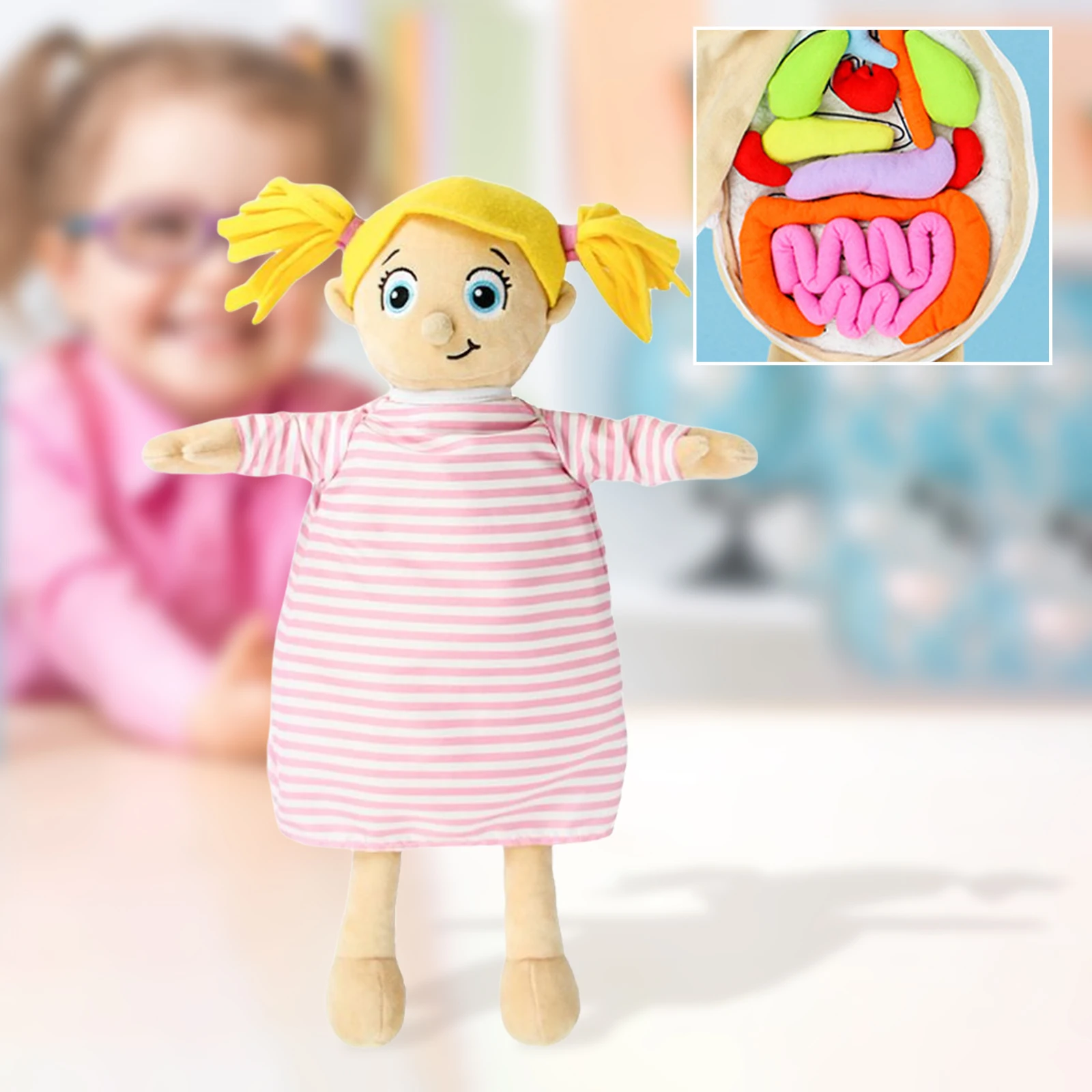 

Модель анатомии человеческого тела, 3D пазл, анатомия человеческого тела, игрушечные органы, осведомленность о раннем образовании, обучающи...