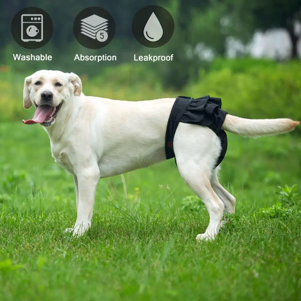 

Dog Shorts Soft Reusable No Pilling Dog Anti-harassment Physiological Pants for Female Dogs Pet Short Pants Puppy Diaper