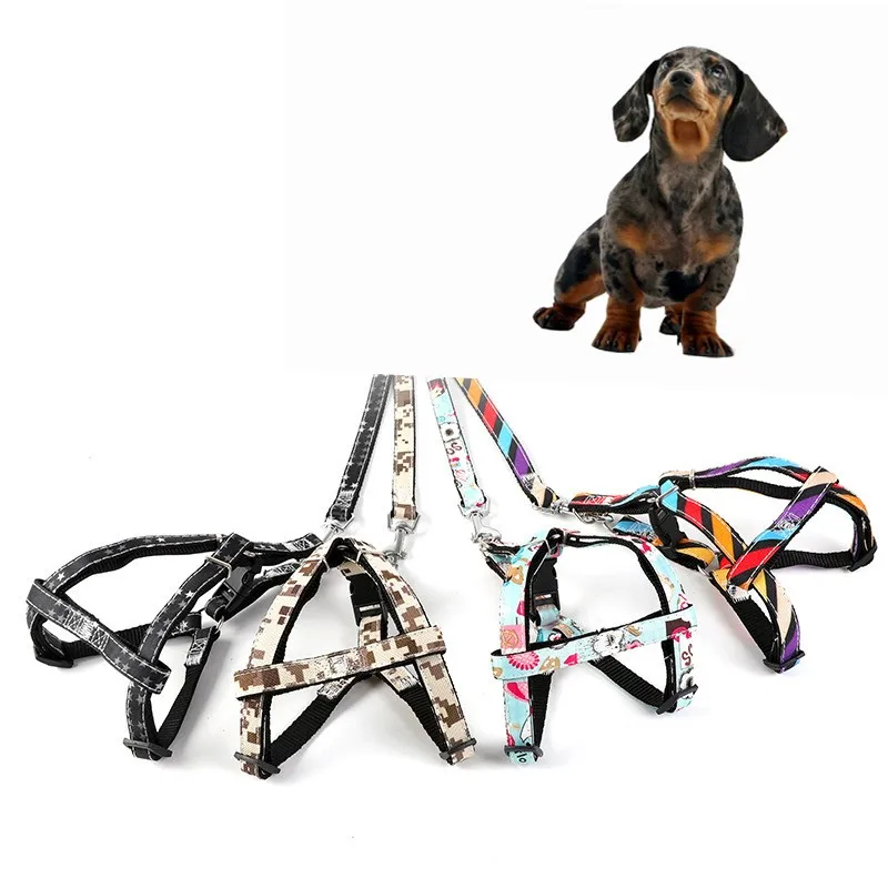 

Набор поводков для домашних животных, базовый воротник, Регулируемый жилет, искусственная подкладка, для обучения маленькому и среднему ще...