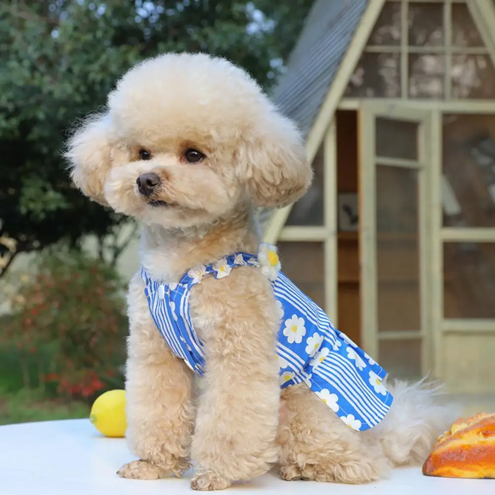

Washable Vivid Summer Dog Two-legged Clothes for Summer Puppy Dress Washable Vivid Summer Dog Two-legged Clothes for Summer