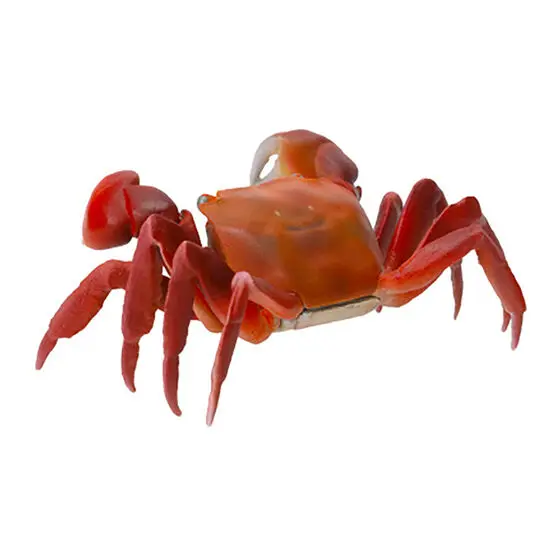 Фото BANDAI биологический атлас краб Squilla ловля краба гашапон аниме фигурка коллекционная модель игрушки №2