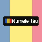 Румынский Флаг Румынии, 10x см, вышивка с именем под заказ