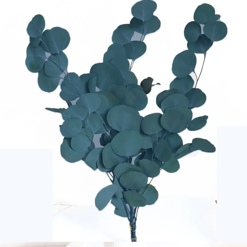 

Консервированные листья эвкалипта YN HI FLOWER ENJOY YOUR LIFE