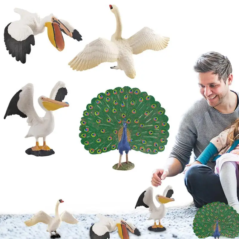

Birds Animals Figures Playset Bird Figures Toy Set Includes Pelicans Peacocks Simulated Animal Models Pelicans Peacocks Models