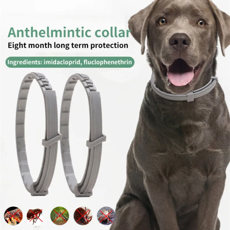 

1pc Dog Anti Flea And Ticks Cats Collar Pet 8 Month Protection Retractable Pet Collars For Puppy Cat Large Dogs Accessories