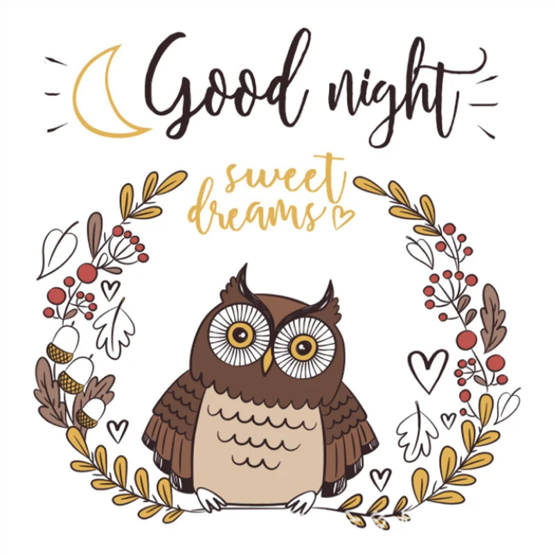 

Good Night Owl Transparent Silicone Finished Stamp DIY Scrapbook Rubber Coloring Embossed Diary Decor Template Reusable 10*10cm