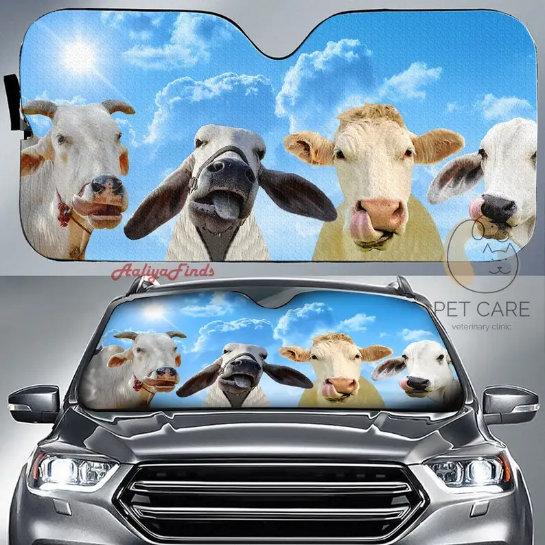

Brahman Smile Auto Sun Shade Gift Ideas 2022