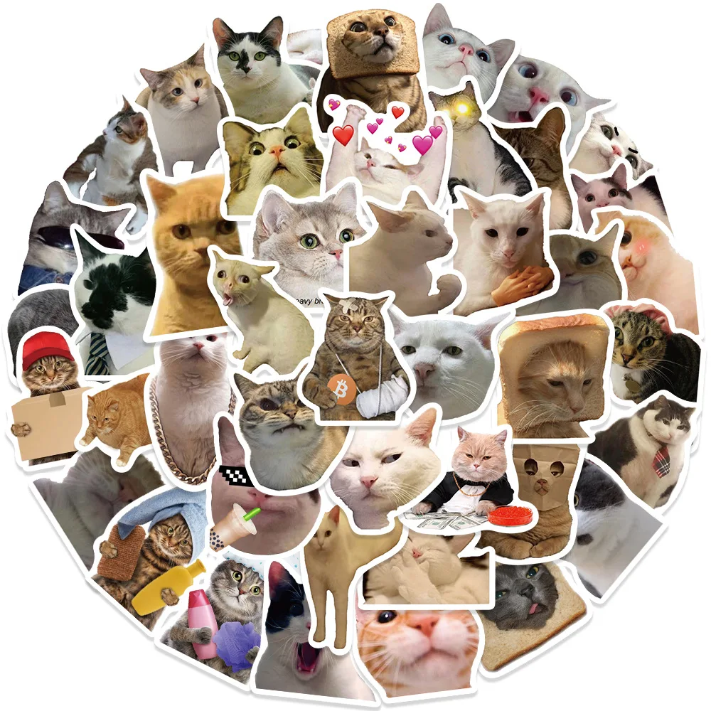 50 шт., водонепроницаемые виниловые наклейки в виде кошки | AliExpress