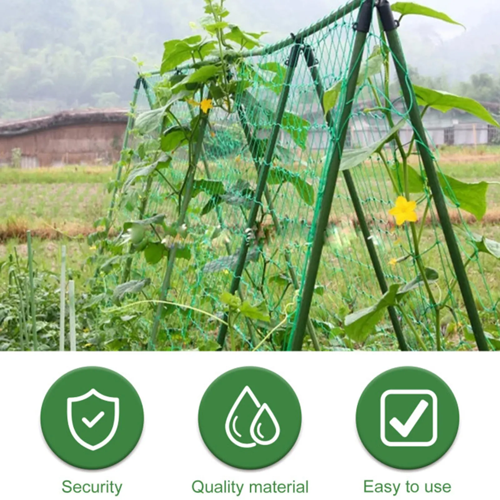 

Durable Plants Growth Net Set Plant Climbing Net Trellis Garden Plants Support Net Trellis Netting for Cucumber Vine Bean Tomato