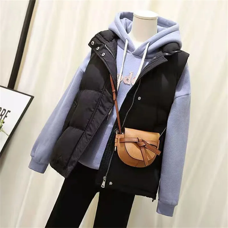 Новая мода хлопковый жилет на гагачьем пуху осень-зима 2024 женское студенческое