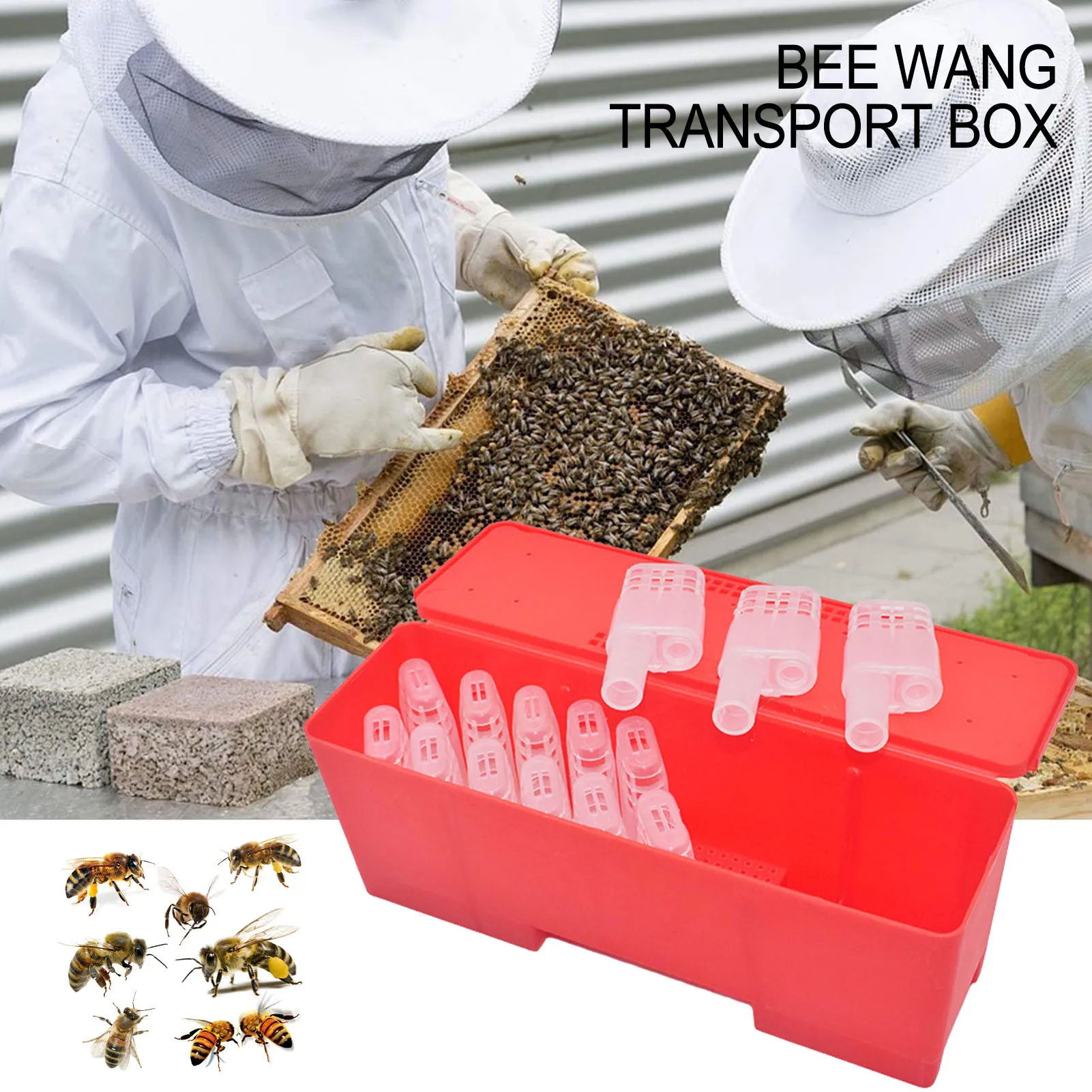 

Queen Bee Transport Box Queen Cell IncubatorBee Moving Isolator With Cages Beekeeper Rearing Tools 20 Queen Bee Cages