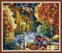 street view after the rain embroidery stamped cross stitch patterns kits printed canvas 11ct 14ct needlework cross stitch