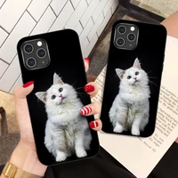 funny cute cat phone case for iphone 11 12 13 pro max mini x xr xs max tpu shockproof back cover for iphone 7 8 6s plus se 2020