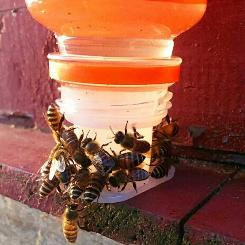 

1Pc Bee Drinking Fountain Cup Water Bottle Cap Insect Feeding Drinker Beekeeping Tools