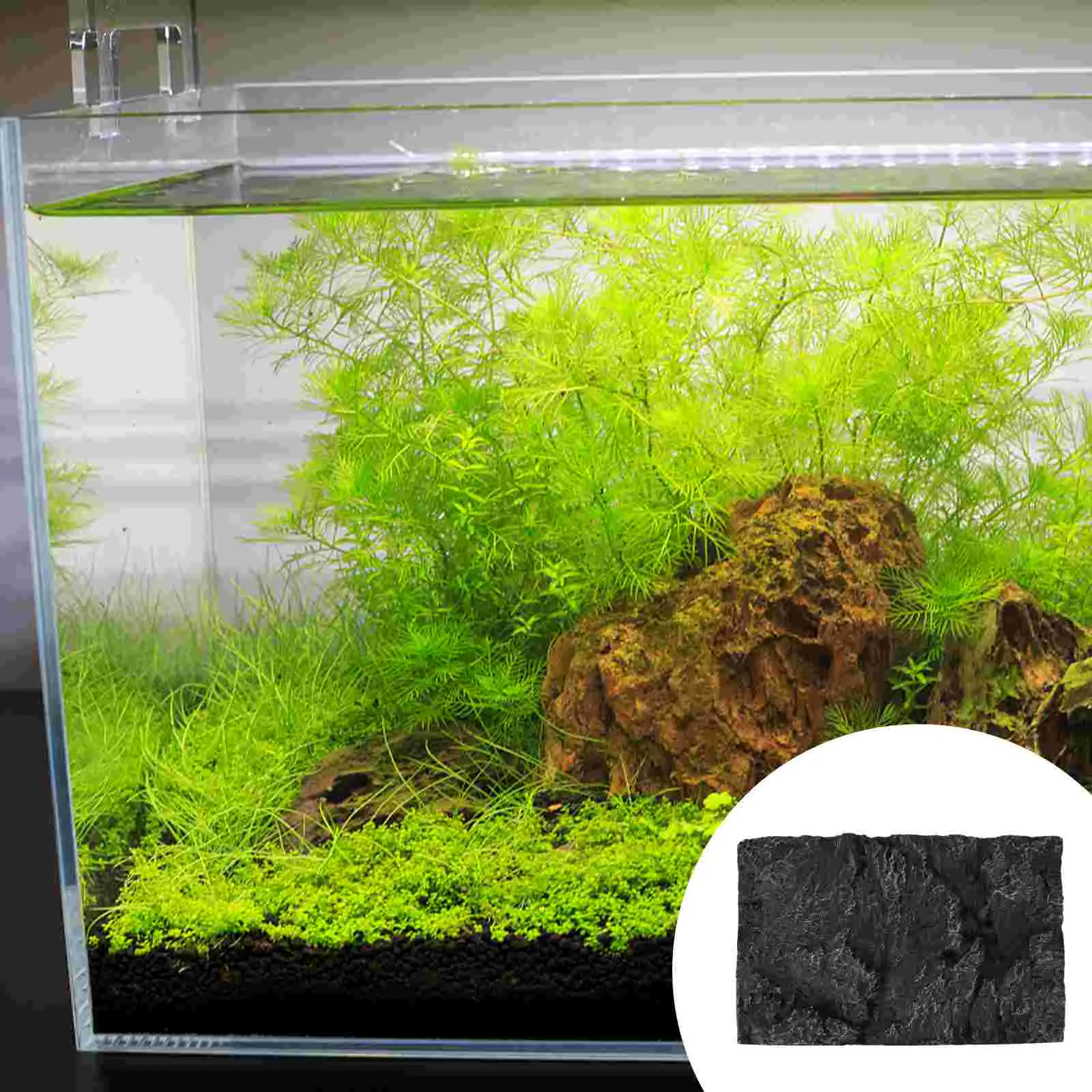 

Cork Bark Terrarium Background Decorative Plates Black Fish Tank Background Reptile Terrarium Decor Wall Fish Tank