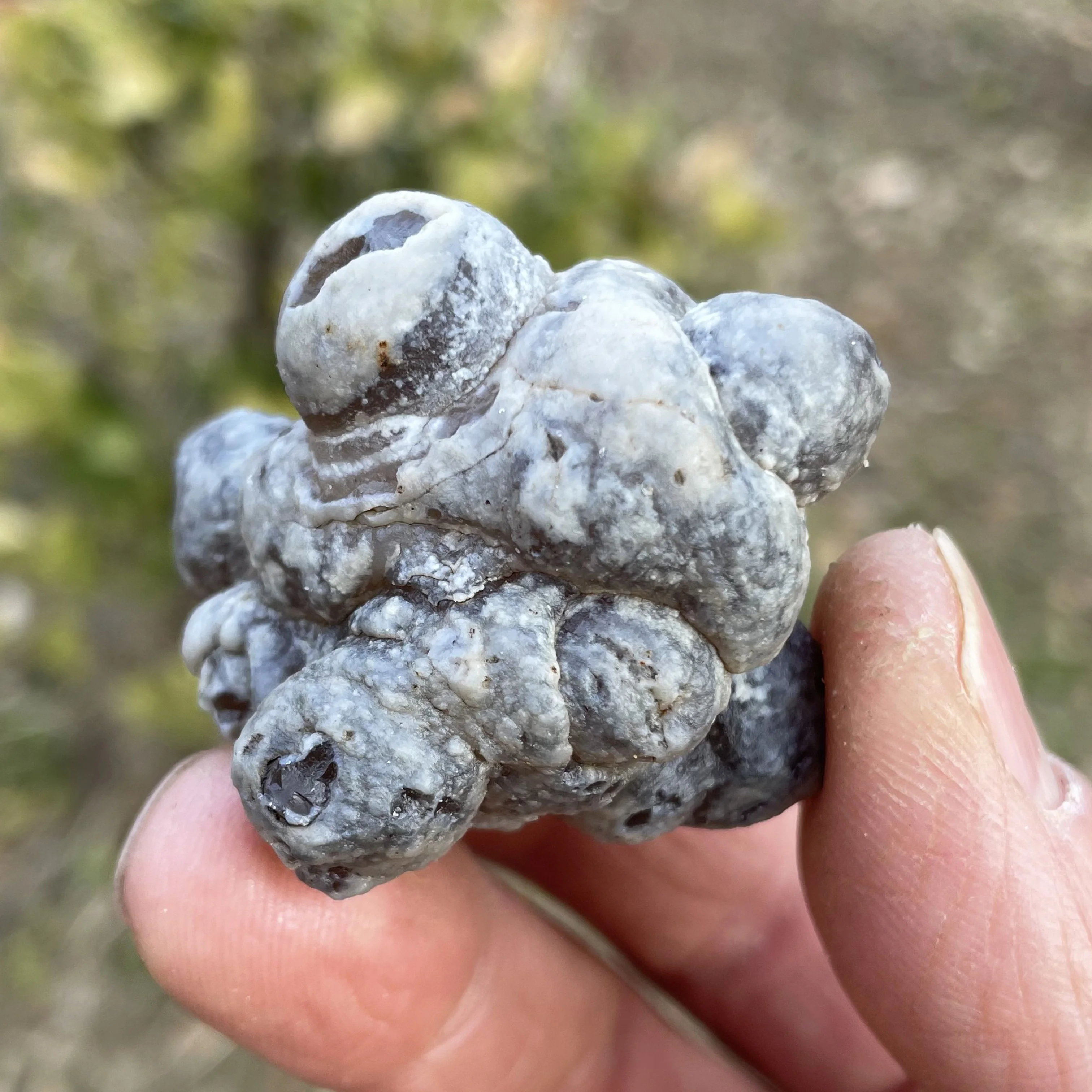 

Серый Агат Панда