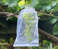 50100pcs grapes garden mesh bags fruit protection bags agricultural orchard pest control anti bird netting vegetable jardim