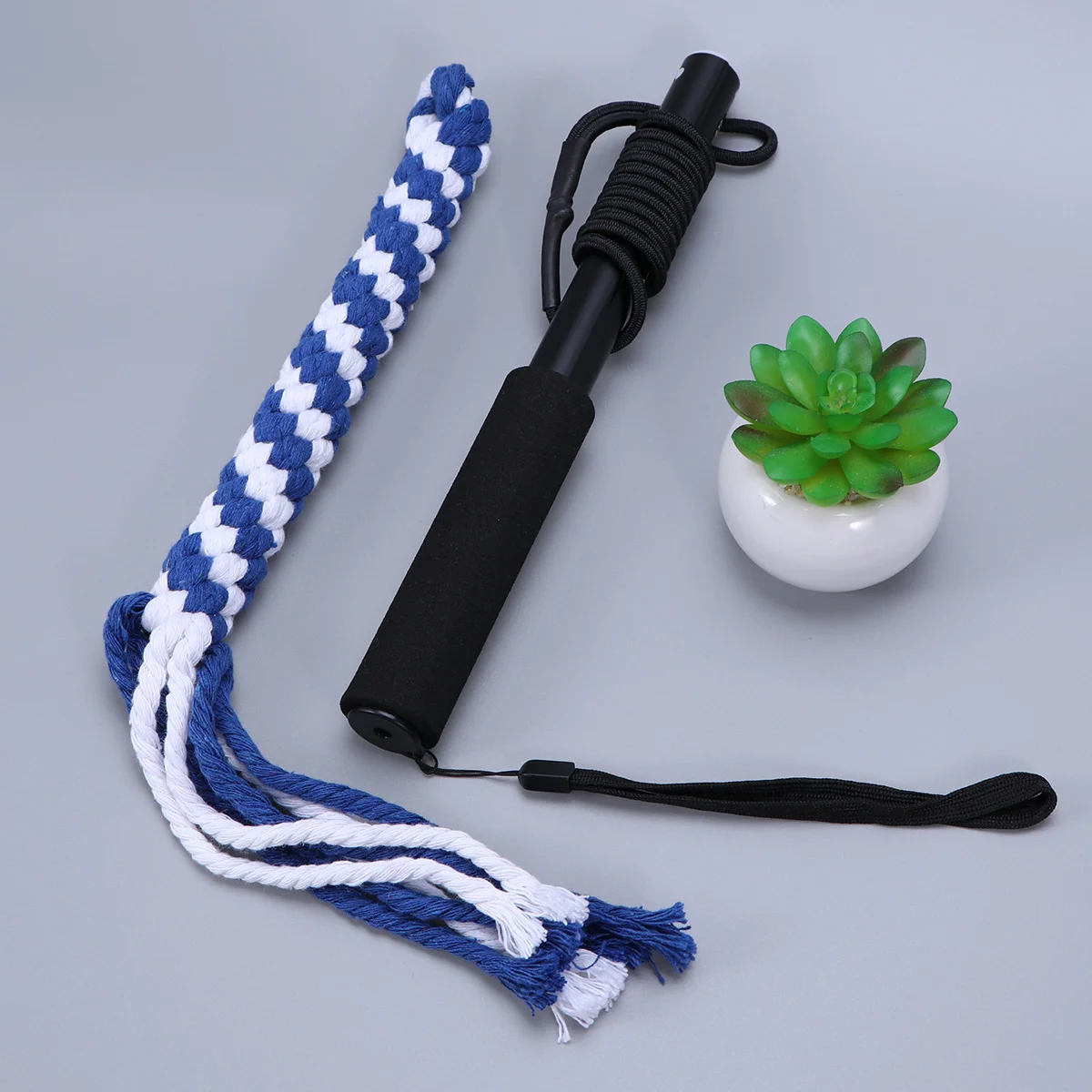 

Training Stick Chew Toys Small Dogs Outside Interactive Fun Extendable Flirt Pole