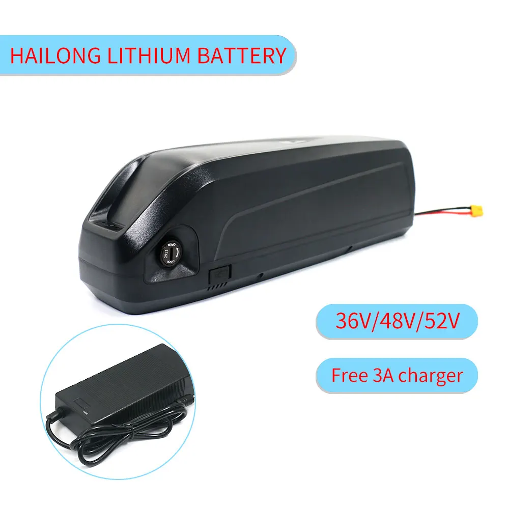 36V 48V 52V 20Ah 15Ah Hailong Battery Packs Electric Bicycle Lithium Ion Batteries 30A BMS 1000W E Bike Motor with 3A Charger |