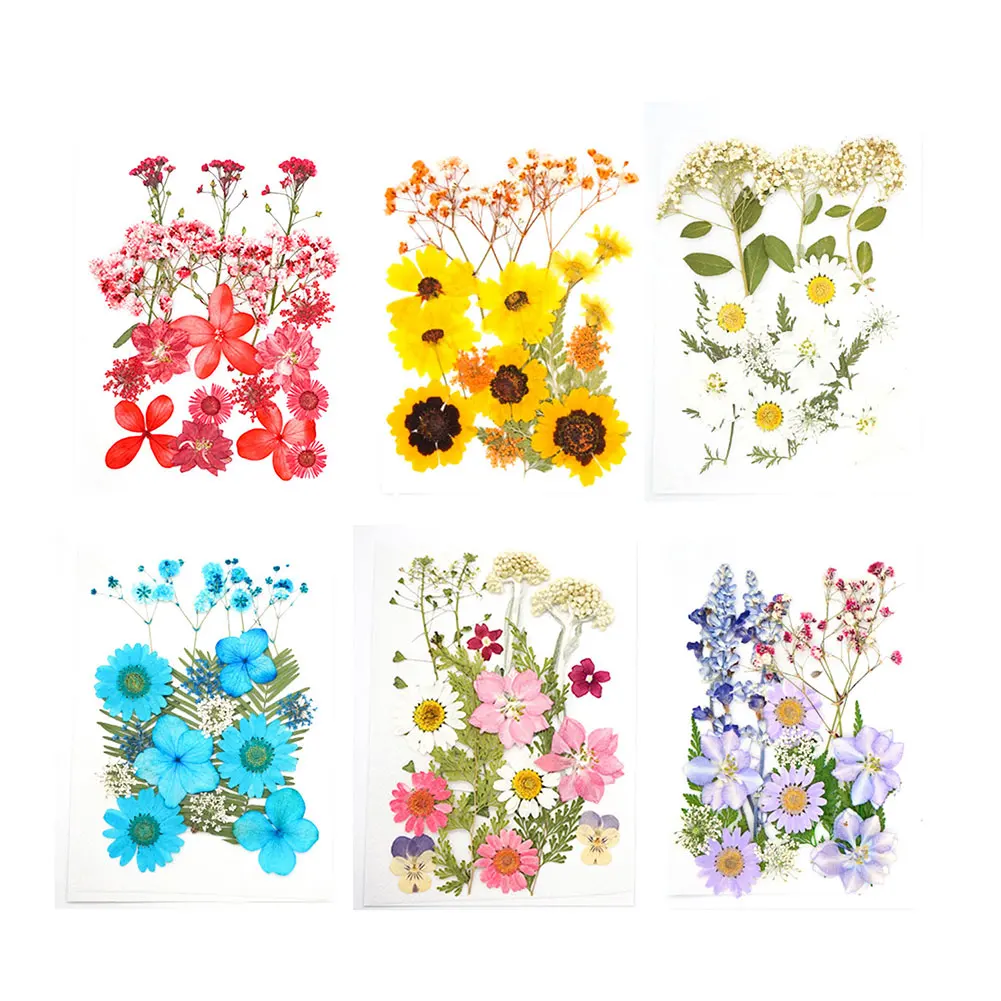 сухоцветы для декора эпоксидная смола Сушеные цветы 1 пакет Натуральные сушеные