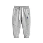 Весна-Осень 2022, Детские прямые брюки, повседневные спортивные брюки для мальчиков с рисунками из мультфильмов, детская одежда, хлопковые спортивные брюки