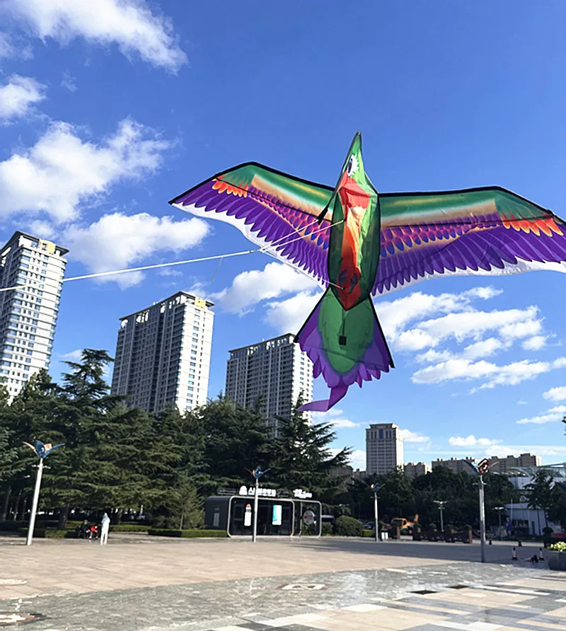 Бесплатная доставка кайты с колибри drachen steigen volantines Воздушный воздушный змей fun