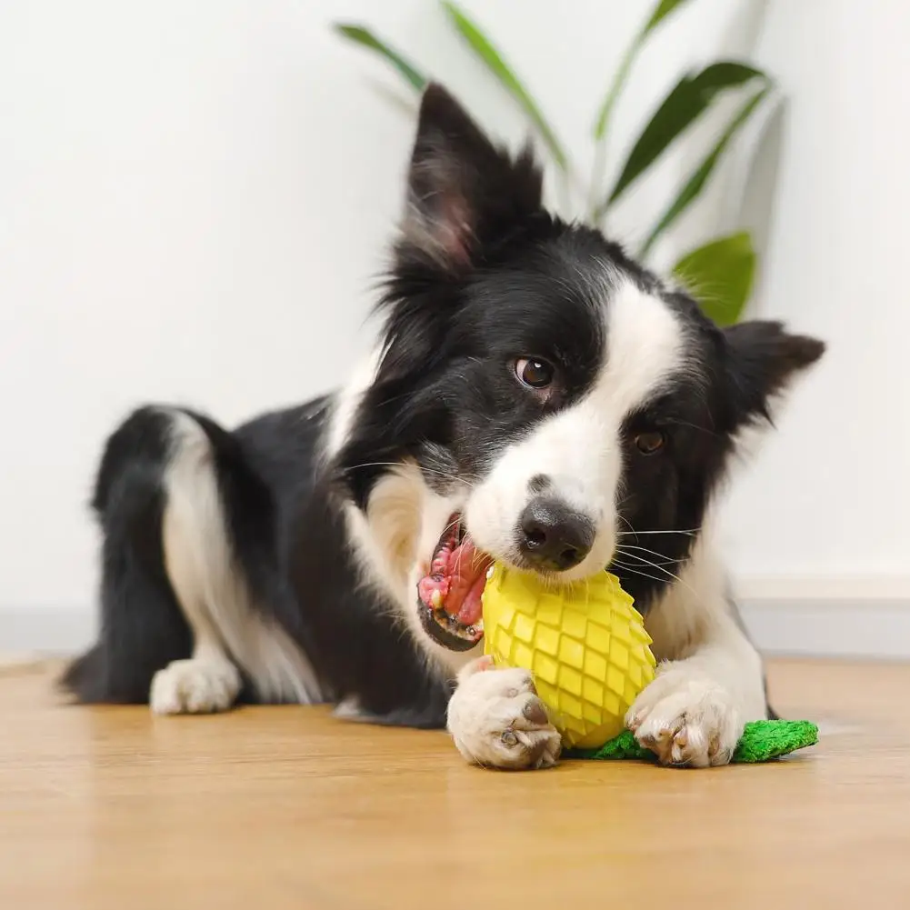 

Игрушка-моляр для домашних животных, прочная устойчивая к царапинам легкая забавная жевательная игрушка для щенков, товары для домашних жи...