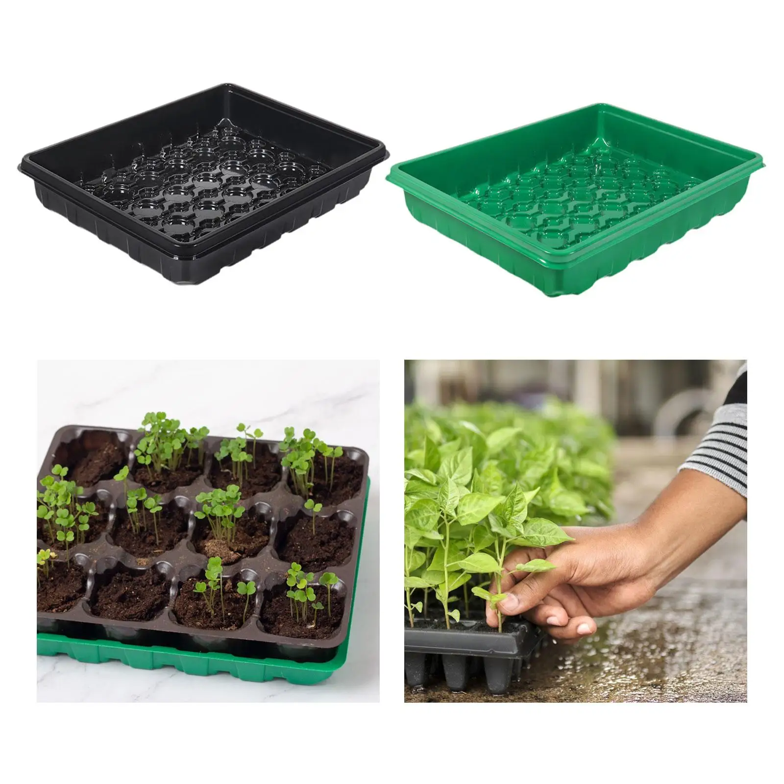 Стартовый лоток для семян проращивания растений выращивания рассады почвы