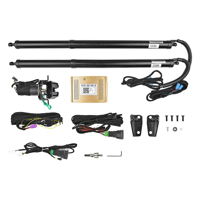 

Electric Tailgate DV 12V Car Trunk Open and Close With Remote Lifter Smart Double Poles Rear Trunk Lifter