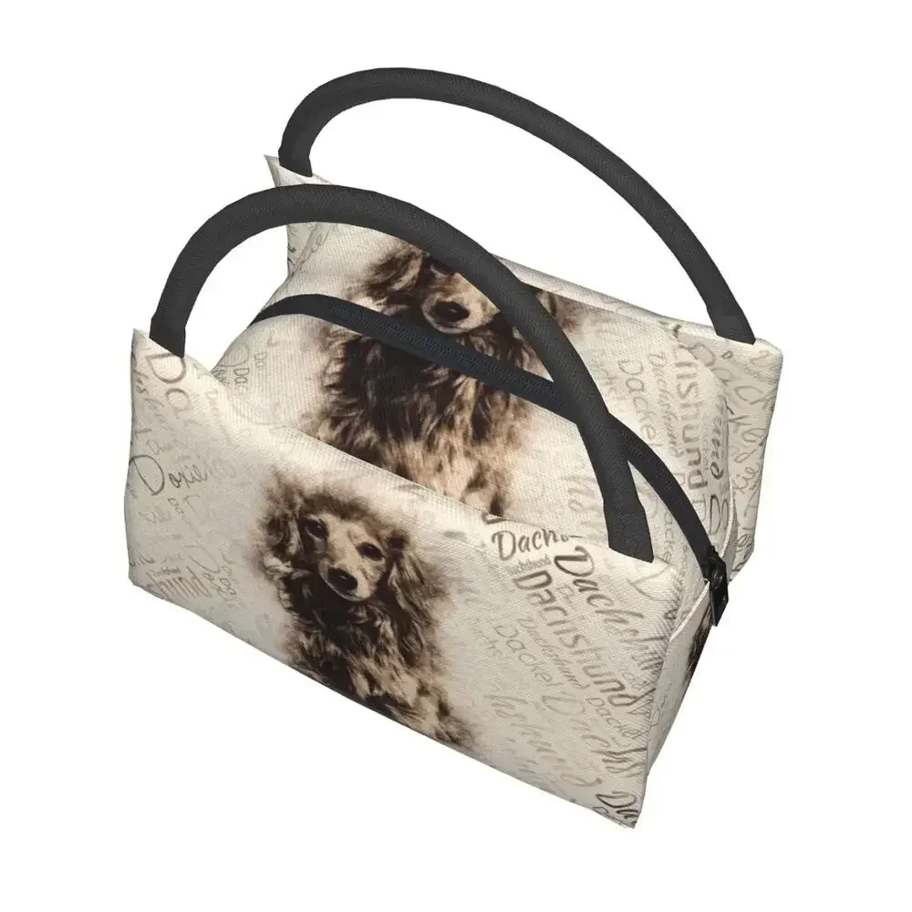 Длинношерстные изолированные сумки для обеда с собакой таксы женщин барсук