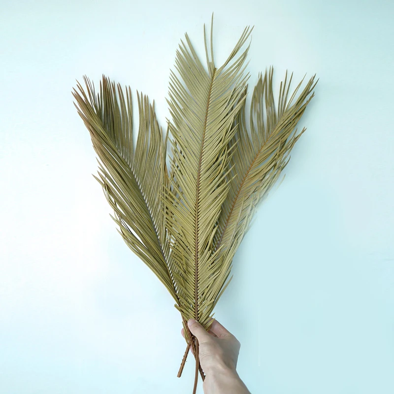 

1/3PCS Dried Natural Plant Sago Cycas Branch Fruticose Dracaena Leaf Dry Palm Fan Leaves Party Art Wall Hanging Wedding Decorat